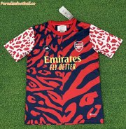 2022-23 Arsenal Special STELLA MCCARTNEY Soccer Jersey Shirt