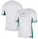 2024-25 Nigeria Home Soccer Jersey Shirt