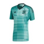 2018 World Cup Spain Green Goalkeeper Soccer Jersey