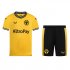 2023-24 Wolverhampton Wanderers Kids Home Soccer Kits Shirt With Shorts