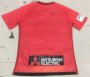 2016-17 Western Sydney Wanderers Home Soccer Jersey
