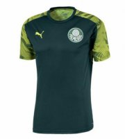 2020-21 Palmeiras Green training Shirt