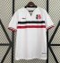 2024-25 Santa Cruz Futebol Clube Away Soccer Jersey Shirt