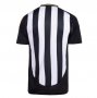 2025-26 América Mineiro Futebol Clube Home Soccer Jersey Shirt With Sponsor