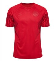 2022 FIFA World Cup Denmark Home Soccer Jersey Shirt