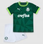 Kids/Youth Sociedade Esportiva Palmeiras 2023-24 Home Soccer Kits Shirt With Shorts
