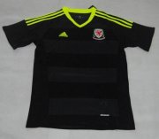 2016 Euro Wales Away Soccer Jersey