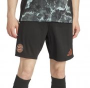 2024-25 Bayern Munich Away Soccer Shorts