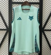 2025-26 Cruzeiro Light Green Training Vest Shirt