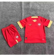 Kids 2022 FIFA World Cup Serbia Home Soccer Kits Shirt With Shorts