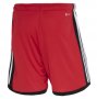 2022-23 Flamengo Third Away Soccer Shorts