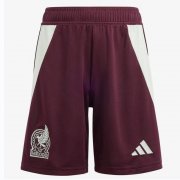 2024 Copa America Mexico Home Soccer Shorts
