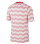2021-22 EURO Poland White Pink Training Shirt