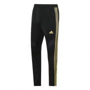 2019 Algeria Black Golden Training Trouser