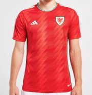 2022 FIFA World Cup Wales Home Soccer Jersey Shirt