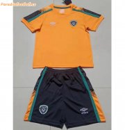Kids Ireland 2021-22 Ireland Orange Away Soccer Kits Shirt With Shorts