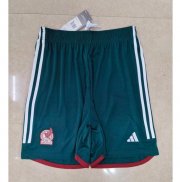 2022 FIFA World Cup Mexico Away Soccer Shorts
