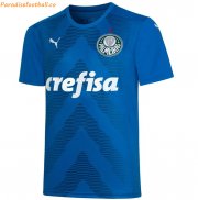 2022-23 Palmeiras Blue Goalkeeper Soccer Jersey Shirt