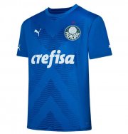 2023-24 Palmeiras Camisa Goleiro Blue Goalkeeper Soccer Jersey Shirt