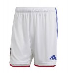 2022 FIFA World Cup Japan Home Soccer Shorts