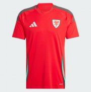 2024 Euro Cup Wales Home Soccer Jersey Shirt