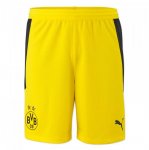 2020-21 Borussia Dortmund Away Soccer Shorts