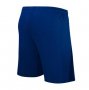 2024-25 PSG Fourth Soccer Shorts