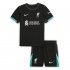 2024-25 Liverpool Kids Away Soccer Kits Shirt With Shorts