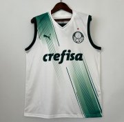 2023-24 Camisa Palmeiras Away Vest Soccer Jersey Shirt