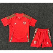 2024 Euro Cup Wales Kids Home Soccer Kits Shirt With Shorts
