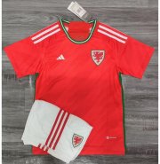 Kids Wales 2022 FIFA World Cup Home Soccer Kits Shirt With Shorts