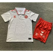 2024 Euro Cup Denmark Kids Away Soccer Kits Shirt With Shorts