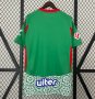 2024-25 Granada Third Soccer Jersey Shirt