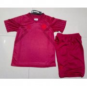 Kids 2022 FIFA World Cup Denmark Home Soccer Kits Shirt With Shorts